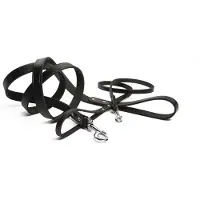 Beeztees BZ LAISSE EN CUIR NOIR 100X16 (Chien, Promenade)