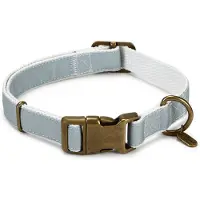 Designed By Lotte Collier De Chien Virante
