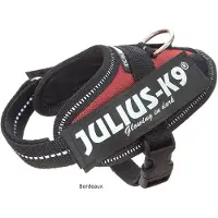 JULIUS K-9 Idc Power Baby Dog Harness Rouge Baby 1