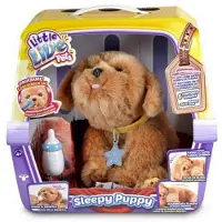 Famosa Sleppy Puppy Little Live Pets Teddy Multicolore 5-8 Years Enfants