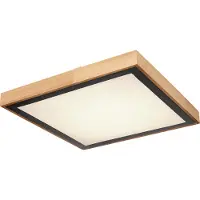 Globo Lighting Plafonnier métal noir mat, LED