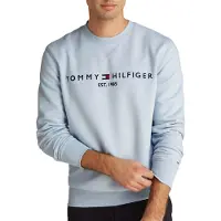 Tommy Hilfiger Sweat-shirt 'Logo Embroidery Flex' bleu marine / bleu clair / rouge / blanc