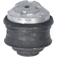 Delphi Support moteur TEM134