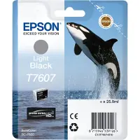 Epson T7607 (C13T76074010) Cartouche d'encre Noir clair