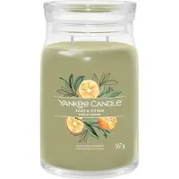 Yankee candle Bougie Sauge & Agrumes Signature (sauge et agrumes) - 567,0 g