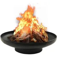 vidaXL Bol de feu 57 cm acier