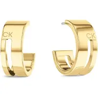 Calvin Klein Boucles d'oreilles 'GEOMETRIC ESSENTIALS' or