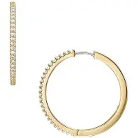Fossil Boucles d'oreilles or / transparent