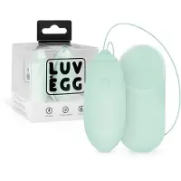 Huismerk - œuf vibrant radio rechargeable et portable (vert)