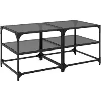 The Living Store Tables basses avec plateaux en verre 2 pcs. noir 50x50x45 cm acier