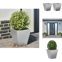 vidaXL Jardinières 2 pcs 30x30x30 cm acier galvanisé