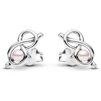 Pandora Boucles d'oreilles Pandora en argent pour femmes 293761C01