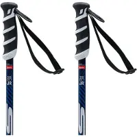 Swix Wc Pro Sl Junior Poles Argenté 110 cm Garçon