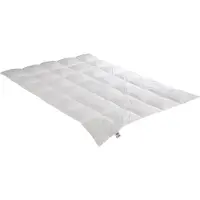 Badenia irisette Couette en duvet Edda medium (540 g, Duvet, 200 x 200 cm)