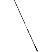Fishing Ferrari Link Saltwater Canne à Bateau Noir 3.60 m / 20-100 g Noir 3.60 m