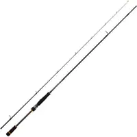 Daiwa Bg Rf Spinning Rod Argenté 2.44 m / 2-8 g