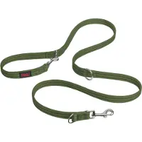 Halti Laisse éducative pour chien - L 200 x l 2,5 cm, vert forêt