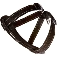 EzyDog Neoprene Dog Harness Noir XS