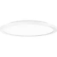 Performance In Lighting Lampe LED à monter