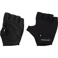 Fischer L