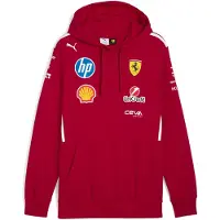Puma Sf Team Hoodie Rouge S Homme
