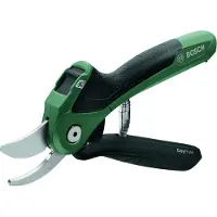 Bosch EasyPrune