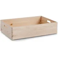 Zeller Present Boîte multi-usages (36 l, 1x, 60 x 40 x 15 cm)