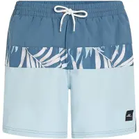 O'Neill Cali Block 15´´ Swimming Shorts Bleu S Homme