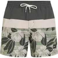 O'Neill Cali Block 15´´ Swimming Shorts Vert XS Homme