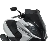 Ermax Roller Disc Sport NOUVEAU DOWNTOWN 125/350
