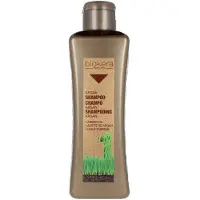 Salerm BIOKERA ARGANOLOGY shampoo 300 ml