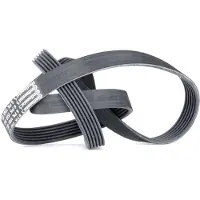 CONTITECH Courroie trapézoïdale à nervures CONTINENTAL 6PK1560