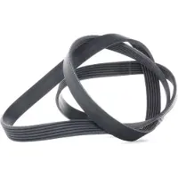 CONTITECH Courroie trapézoïdale à nervures CONTINENTAL 6PK1564