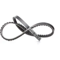 CONTITECH Courroie trapézoïdale à nervures CONTINENTAL AVX13X1075