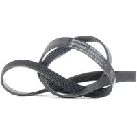 CONTITECH Courroie trapézoïdale à nervures CONTINENTAL 6PK1570