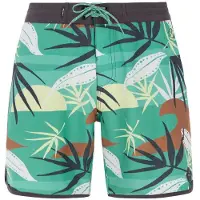 Protest Addo Swimming Shorts Multicolore M Homme