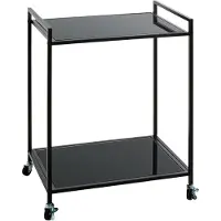 Haku Table d'appoint mobile , 2 tablettes supportant chacune jusqu'à 6 kg, L 500 x P 360 x H 690 mm, acier/verre de sécurité ESG, noir