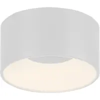 Paul Neuhaus Plafonnier à LED - Ø 16 cm - blanc - plastique - intensité lumineuse variable