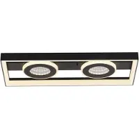 Paul Neuhaus plafonnier TRAFORO LBH 45x20x6.20 cm noir plafonnier