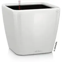 Lechuza Jardinière de table QUADRO LS 21 ALL-IN-ONE Blanc brillant