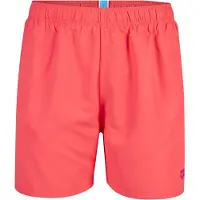 Arena Boardshorts 'FUNDAMENTALS BOXER R' framboise