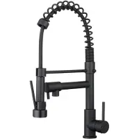 EsseBagno Big Pro mitigeur évier à douchette mobile full black