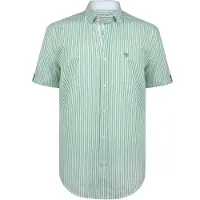 Felix Hardy Chemise vert / blanc