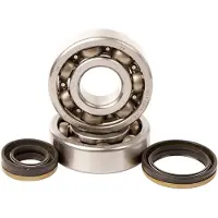 Hotrods Suzuki Rm 125 99-07 Crank Shaft Bearing Kit Argenté