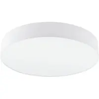 Eglo Pasteri Pro 62391