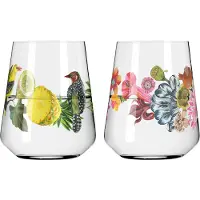 Ritzenhoff Hugo, Verres, Multicolore