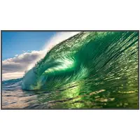 Philips 50BDL3650QE - 50" - Q-Line écran LCD rétro-éclairé par LED - signalisation numérique - Android - 4K UHD (2160p) 3840 x 2160 - Direct LED