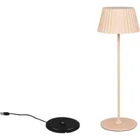 TRIO Lampe de table rechargeable Suarez sablonneux