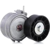 Skf Tendeur de courroie, courroie trapézoïdale à nervures VKM 33033
