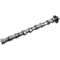 FEBI BILSTEIN 185011 Arbre à cames d'admission pour OPEL Vivaro C Fourgon (K0) Vivaro C Combi (K0) Vivaro C Plateau / Châssis (K0) pour FORD Kuga Mk2